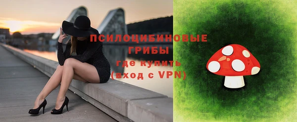 бутират Инсар