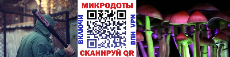 Купить Любань Галлюциногенные грибы GOLDEN TEACHER
